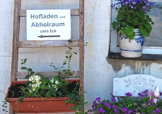 Foto Leiter mit Schild
