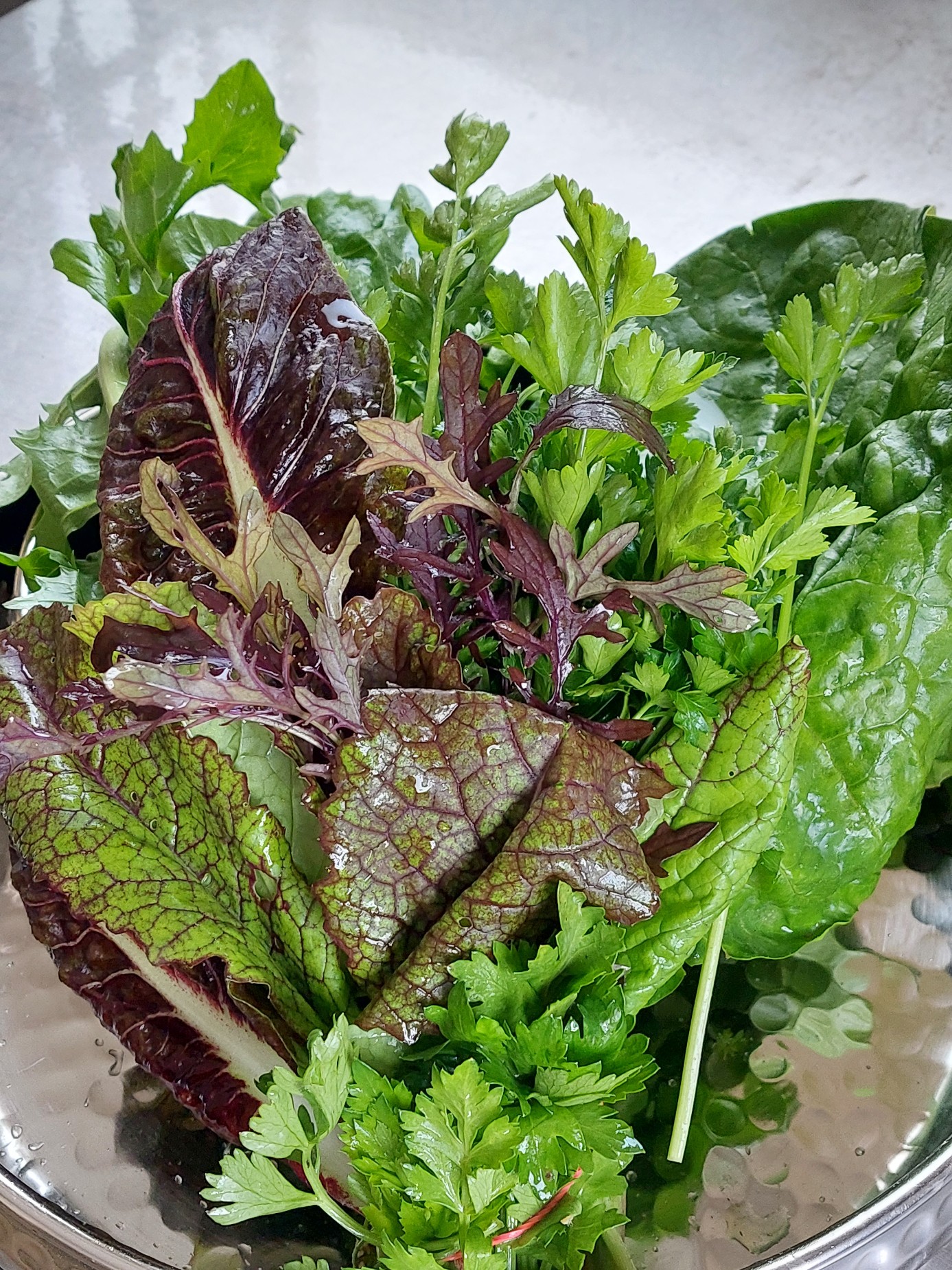 Salat-Mix