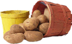 Kartoffeln